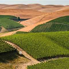 The Wine Industry in Southwest Washington: Attracting Visitors for Tastings and Tours