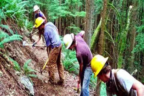 The Power of Volunteers in Decision-Making for Voluntary Organizations in Washington County, Oregon