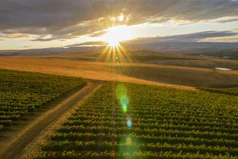 The Topography of Western Washington and its Impact on Grape Production