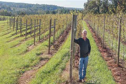 The Influential Figures of Central Virginia's Wine Industry