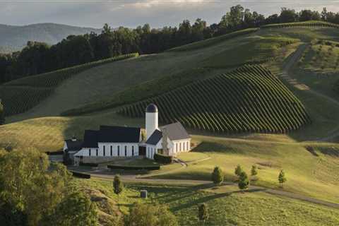 The Evolution of Wine Production in Central Virginia