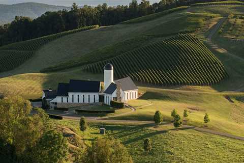 The Hidden Gems of Central Virginia's Wine Industry