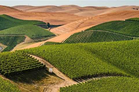 The Wine Industry in Southwest Washington: Attracting Visitors for Tastings and Tours