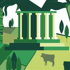 Navigating the Tax Landscape in Sarasota County, Florida