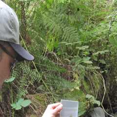 Expert Tips for Reducing Your Environmental Impact in Multnomah County