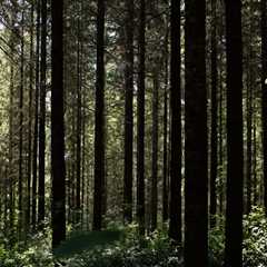 The Power of Community Projects in Preserving the Environment in Washington County, Oregon