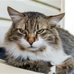 The Future No One Asked For: Asking AI How AI Will Impact Your Job at EY