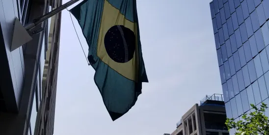 The Risk of Doing the Right Thing: Where Parent Company Control Leads to Liability