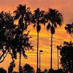 The Crucial Role of Local Government Agencies in Supporting Community Projects in Southeast Florida