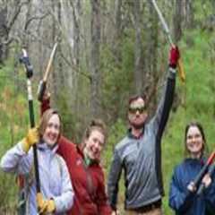 The Importance of Supporting Environmental Charities in Northern Virginia