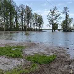 The Crucial Role of Nonprofit Organizations in Disaster Relief Efforts in Sangamon County, Illinois