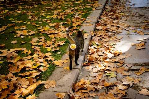 Monday Morning Accounting News Brief: Get Out Your Trick-or-Treater Spreadsheet; Beleaguered..