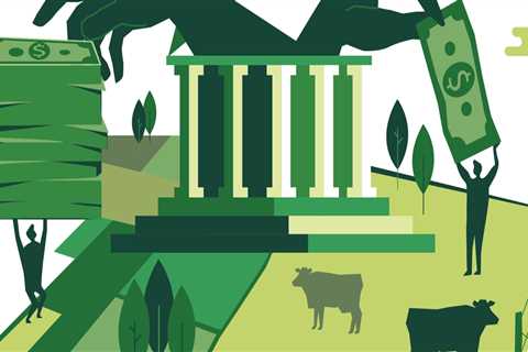 Navigating the Tax Landscape in Sarasota County, Florida