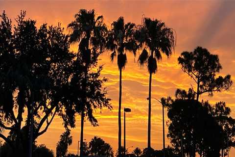 The Crucial Role of Local Government Agencies in Supporting Community Projects in Southeast Florida