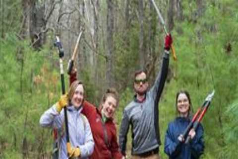 The Importance of Supporting Environmental Charities in Northern Virginia