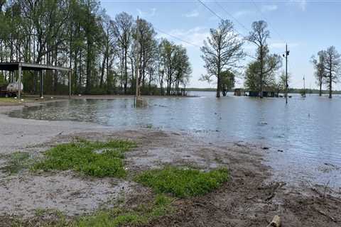 The Crucial Role of Nonprofit Organizations in Disaster Relief Efforts in Sangamon County, Illinois