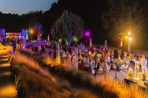 The Impact of Social Media on Charitable Organizations in Paso Robles, California