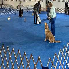 The Power of Community Organizations in Alachua County, FL