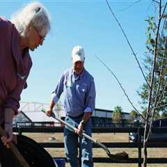 The Power of Collaboration: Community Organizations and Local Government in Alachua County, FL