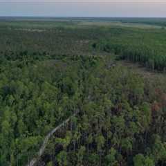 Unlocking Funding for Habitat Conservation in Southwest Florida