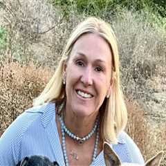 Exploring Partnerships Between Pet Care Organizations and Animal Shelters in Western Washington