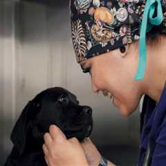 Exploring Pet Care Organizations in Western Washington: Specializations and Services