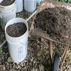 A Comprehensive Guide to Composting and Recycling Programs in Lansing, Michigan