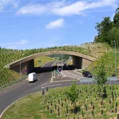 Why Landscape Engineering Should Be Considered Before Scheduling Moving Services