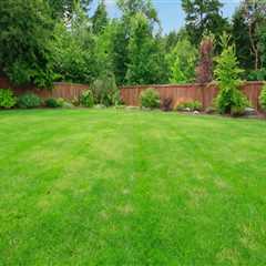 Transform Your Outdoor Spaces with Expert Landscape Engineering