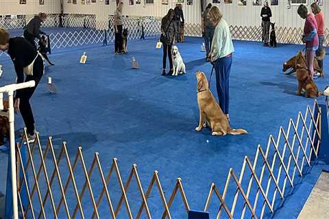 The Power of Community Organizations in Alachua County, FL