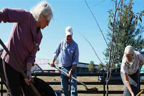 The Power of Collaboration: Community Organizations and Local Government in Alachua County, FL