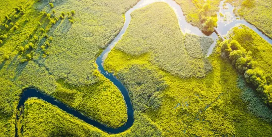 EC Adopts Strategic Framework for a Competitive and Sustainable EU Bioeconomy