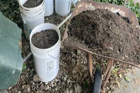 A Comprehensive Guide to Curbside Composting and Recycling Programs in Lansing, Michigan