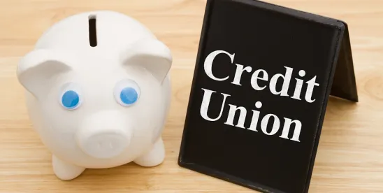 NCUA Launches Deregulation Project and Proposes Four Rules to Streamline Credit Union Regulations