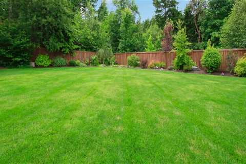 Transform Your Outdoor Spaces with Expert Landscape Engineering