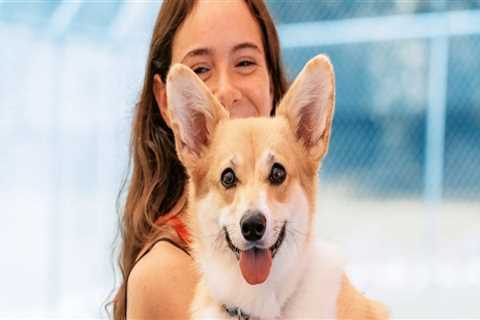 Comprehensive Guide to Pet Care Organizations Offering Training Programs in Southern New Jersey