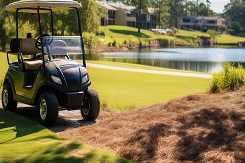 Comprehensive Guide to Driving Policies for Commercial Drivers in Fayetteville, Georgia