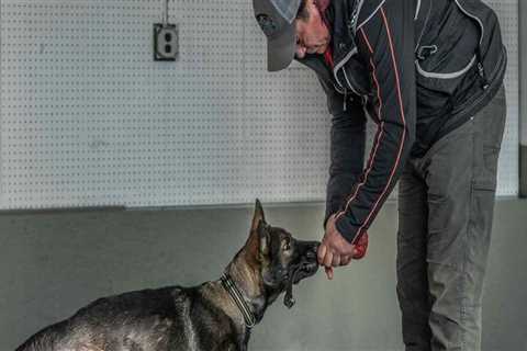 Exploring Affiliations of Pet Care Organizations in Southern New Jersey with National Associations