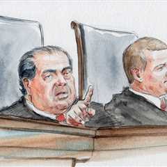 Announcement of opinions for Friday, February 20