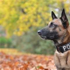 Friday Footnotes: Italian Tax Cops Go Sniffing Around KPMG’s Office; Depreciation Is AI’s Latest..