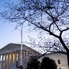 The anticipated criminal law decisions and arguments for the rest of this term