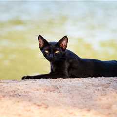 Friday Footnotes: PwC Aims to Hire Tons of Non-Accounting Talent Because Reasons; War or Not, Still ..