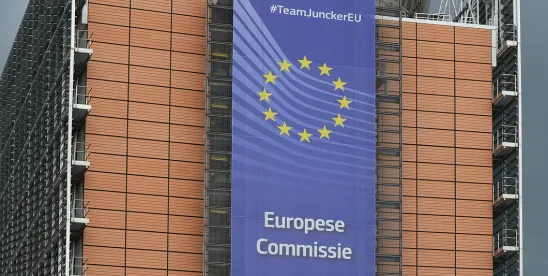 Brussels Regulatory Brief: November/December 2025–January 2026