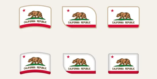 California Court Rejects DFPI’s “True Lender” Allegations in Fintech-Bank Partnership Dispute