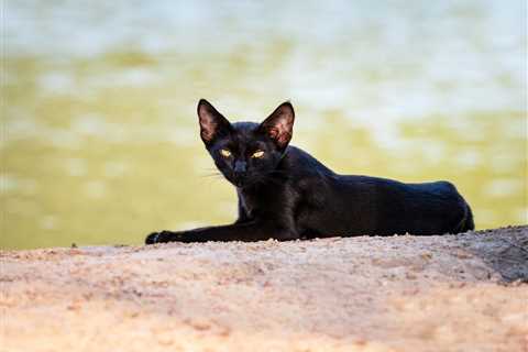 Friday Footnotes: PwC Aims to Hire Tons of Non-Accounting Talent Because Reasons; War or Not, Still ..