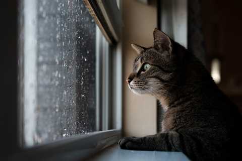 Monday Morning Accounting News Brief: Someone Finally Realized We Need to Groom Potential Partners; ..