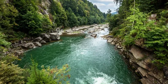 US Forest Service and USDA Take Action to Modernize Regulations Governing Hard Rock Mining