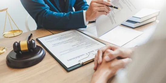 In-House Attorney Immunity Under Scrutiny: Recent Lessons from the “Business Appellate Court”