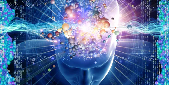 User Beware: AI Tools May Waive Attorney Client Privilege and are Not Protected by the Work Product ..