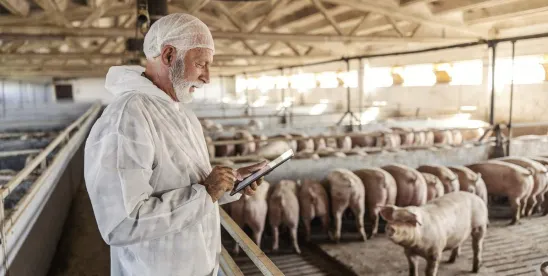 2nd Circuit Finds Animal Groups Lack Standing to Challenge Swine Rule